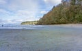 Dash Point Park Shoreline 5