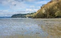 Dash Point Park Shoreline 6 Royalty Free Stock Photo