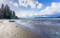 Dash Point Park Shoreline 11 Royalty Free Stock Photo