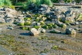 Dash Point Rocks And Stream Royalty Free Stock Photo