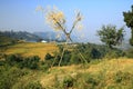 Dashain swing in Nepal Royalty Free Stock Photo