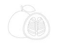 dashed pomelo fruit outline for coloring book template, shaddock for kids illustration worksheet printable