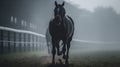 Dashing Through Fog at the St Leger Stakes