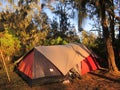 the dashing of our camping tents on the Argopuro mountain trail