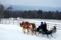 Dashing Through the Snow Royalty Free Stock Photo