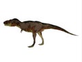 Daspletosaurus Theropod Dinosaur Royalty Free Stock Photo