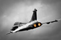 Dassault Rafale B&W