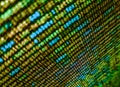 Data bits computer bits, shadow and dark vignette effect. Template of website, selective focus. Real Html code developing screen.