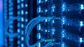 Data Center Network Cables and Servers with Blue LED Lights Royalty Free Stock Photo