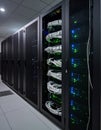 Data Center Server Racks with Network Cables Royalty Free Stock Photo