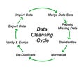 Data Cleansing Cycle