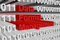 Data format management