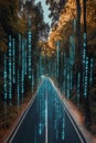 Data Highway Digital Code Streams Down Forest Road Symbolizing Fast Transfer Speeds and Technology Royalty Free Stock Photo