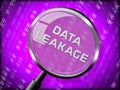 Data Leakage Information Flow Loss 3d Rendering