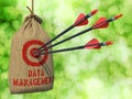 Data Management - Arrows Hit in Red Target. Royalty Free Stock Photo