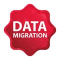 Data Migration misty rose red starburst sticker button