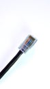 Data network cable, LAN cable, white background, macro photography Royalty Free Stock Photo