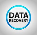 Data Recovery Round Blue Push Button Royalty Free Stock Photo