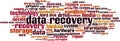 Data recovery word cloud