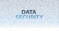 DATA SECURITY information technology issues