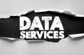 DATA SERVICES bold rough text on ripped paper with torn edge effect. Business and technology message for analytics, digital tools Royalty Free Stock Photo