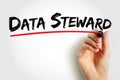 Data Steward - oversight or data governance role within an organization, text concept for presentations and reports