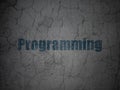 Database concept: Programming on grunge wall background