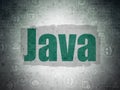 Database concept: Java on Digital Data Paper background Royalty Free Stock Photo