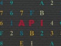 Database concept: Api on wall background Royalty Free Stock Photo