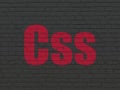 Database concept: Css on wall background Royalty Free Stock Photo