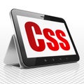 Database concept: Tablet Computer with Css on display Royalty Free Stock Photo