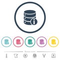 Database info flat color icons in round outlines