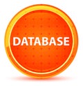 Database Natural Orange Round Button Royalty Free Stock Photo