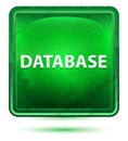 Database Neon Light Green Square Button Royalty Free Stock Photo