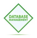 Database Management modern abstract green diamond button Royalty Free Stock Photo