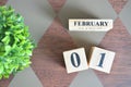 Date of February with leaf on diamond. Royalty Free Stock Photo