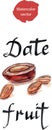 Date fruit, arabian delights