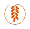 Date fruit logo. Isolated date fruit on white background Royalty Free Stock Photo