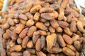 Date palm dried fruit