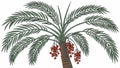 Date palm tree fruit, sweet dates and Middle Eastern food. vector design Generative AI