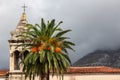 Makarska - Date palm tree with ripe fruits in front of old church of St. Philip in coastal town Makarska, Dalmatia, Croatia Royalty Free Stock Photo