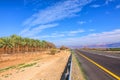 Date palm trees plantations. Israel agriculture. Highway along the Dead Sea coast on the Jordan border Royalty Free Stock Photo