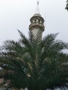 Date palms against the background of the minarets of the mosque in the Malang area