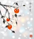 Date-plum tree with orange fruits on white glowing background.