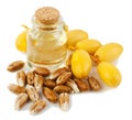 Date Seed Oil