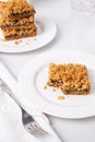 Date squares or Matrimonial cake a traditional Canadian baked dessert