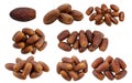 Dates fruit collection isolated on white background Royalty Free Stock Photo