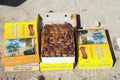 The dates fruit at the market Royalty Free Stock Photo