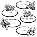 Dates fruit set. Collection icon dates fruit. Vector