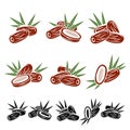 Dates fruit set. Vector